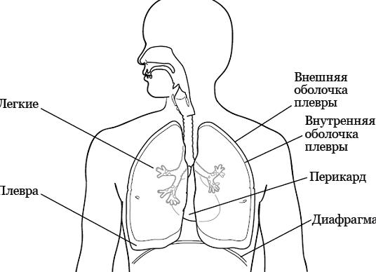 Прямая линия в рисунке